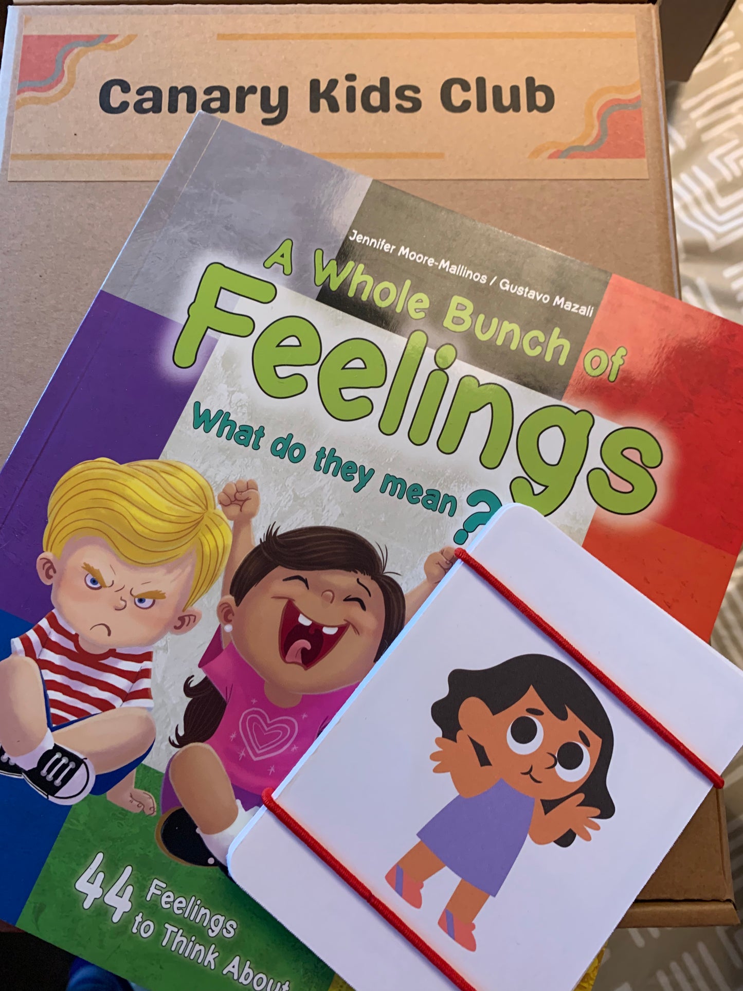 Feeling Our Emotions Kit