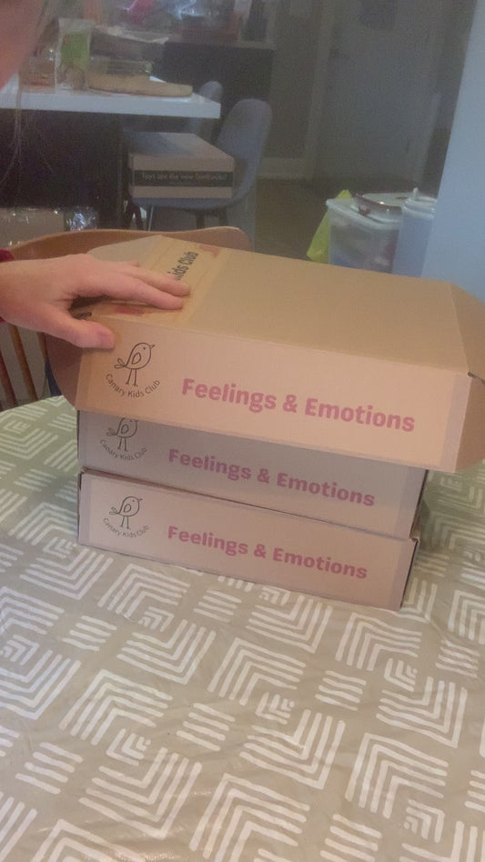 Feeling Our Emotions Kit